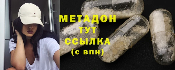 ГАЛЛЮЦИНОГЕННЫЕ ГРИБЫ Дмитриев