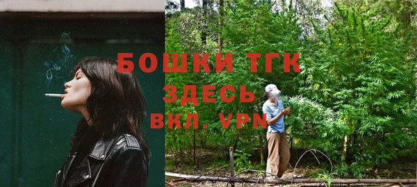 ГАЛЛЮЦИНОГЕННЫЕ ГРИБЫ Дмитриев