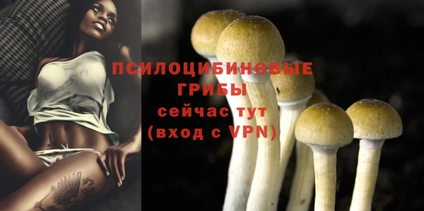 круглые Дмитровск