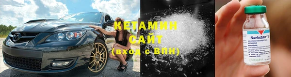 ГАЛЛЮЦИНОГЕННЫЕ ГРИБЫ Дмитриев