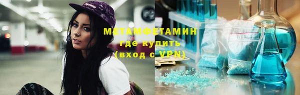 ГАЛЛЮЦИНОГЕННЫЕ ГРИБЫ Дмитриев