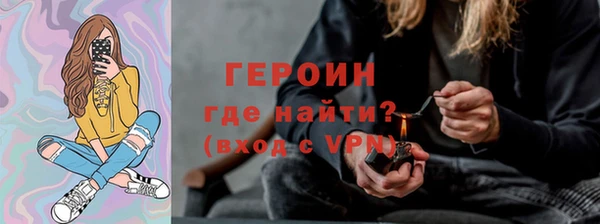 ГАЛЛЮЦИНОГЕННЫЕ ГРИБЫ Дмитриев