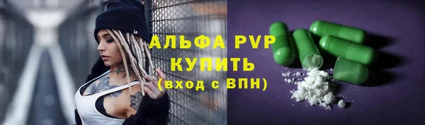 ГАЛЛЮЦИНОГЕННЫЕ ГРИБЫ Дмитриев