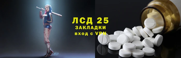 ПСИЛОЦИБИНОВЫЕ ГРИБЫ Дмитров