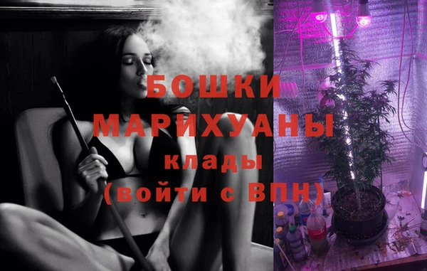 ПСИЛОЦИБИНОВЫЕ ГРИБЫ Дмитров