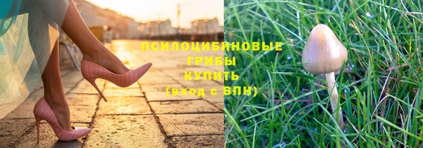 ПСИЛОЦИБИНОВЫЕ ГРИБЫ Дмитров