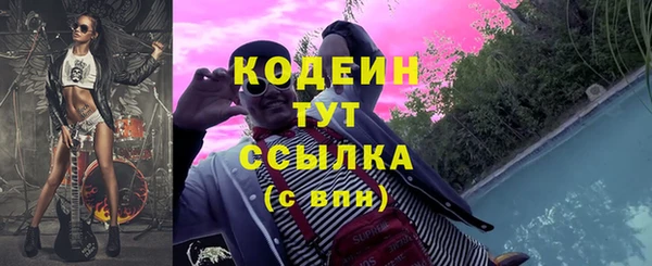 ГАЛЛЮЦИНОГЕННЫЕ ГРИБЫ Дмитриев
