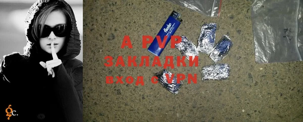 ГАЛЛЮЦИНОГЕННЫЕ ГРИБЫ Дмитриев