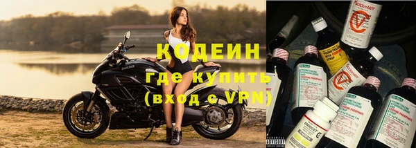 ГАЛЛЮЦИНОГЕННЫЕ ГРИБЫ Дмитриев