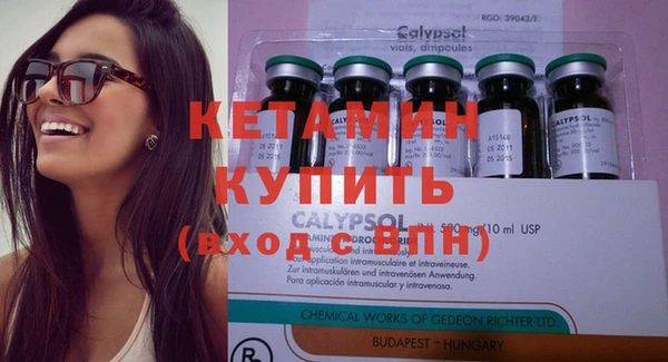 шишки Елизово