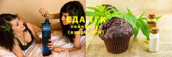 ГАЛЛЮЦИНОГЕННЫЕ ГРИБЫ Дмитриев