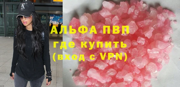 ГАЛЛЮЦИНОГЕННЫЕ ГРИБЫ Дмитриев