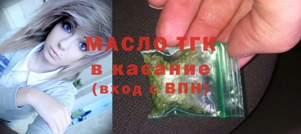 ГАЛЛЮЦИНОГЕННЫЕ ГРИБЫ Дмитриев